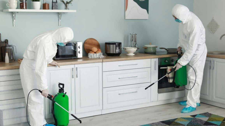 7 Tips To Prevent Pests And Diseases From Your Surroundings