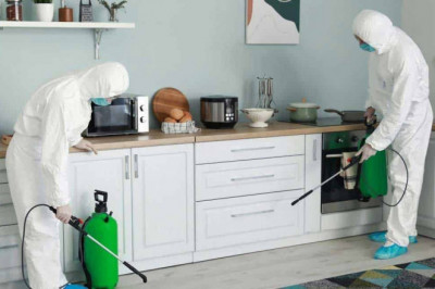 7 Tips To Prevent Pests And Diseases From Your Surroundings