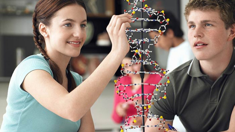 Abacus Classes Dubai | Whizzkidsae.com