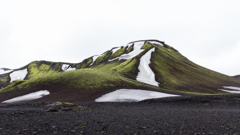 the no 1 question everyone working in biopure bravo suppositories should know how to answer