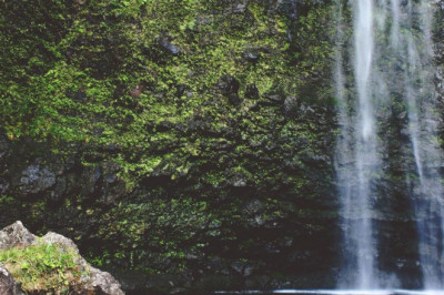 a pvc greenhouse step by step