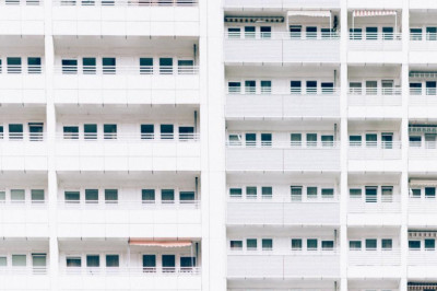 potty training your dog fast