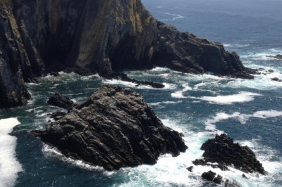 10 ideas about magic mushrooms uk that really work