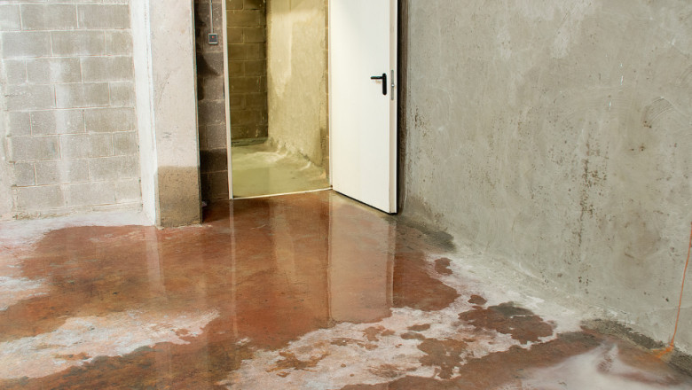 Best Water Damage Restoration Services in Riverton