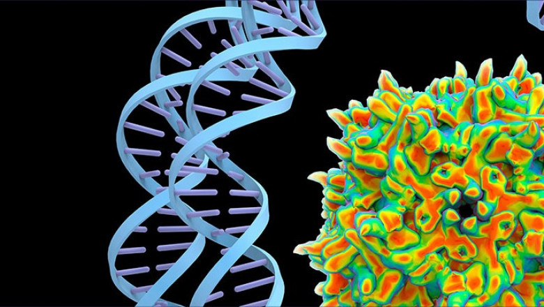 Cancer Gene Therapy Market Opportunities And Application Analysis Report 2022