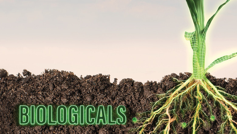 Global Agricultural Biologicals Market 2022 - Top Key Players Analysis Report Till 2028