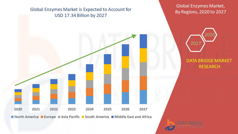 How has Covid-19 Impacted the future of Enzymes Market?