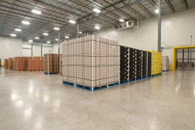 How Primus Can Solve Common Industrial Problems?
