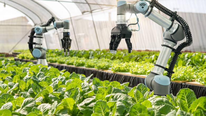 It Is Possible to Improve Productivity and Reduce Costs through Agricultural Robots