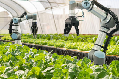 It Is Possible to Improve Productivity and Reduce Costs through Agricultural Robots