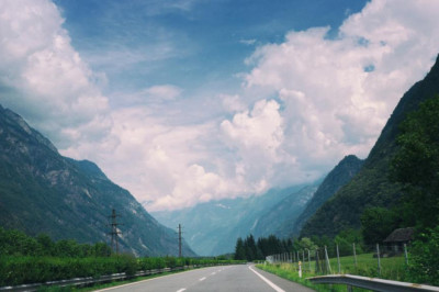 the most important elements of magic mushrooms uk