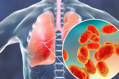 Eucalyptus oil - Unani Medicine For Respiratory Maladies Treat?