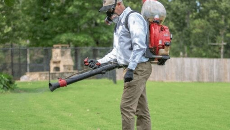 Everything about Termite bonds Offered by Future Services, Inc.