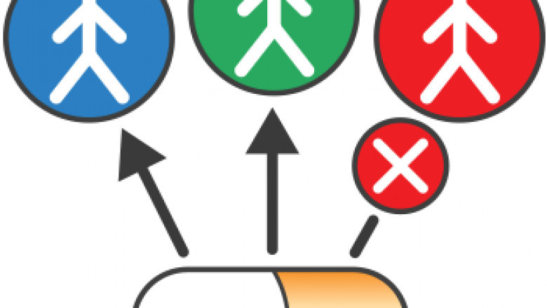 Global Companion Diagnostic Market Current Trends and Future Aspect Analysis Report 2021–2028