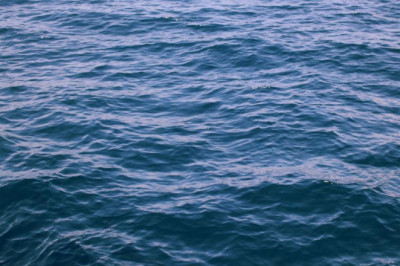 the 3 biggest disasters in team building history