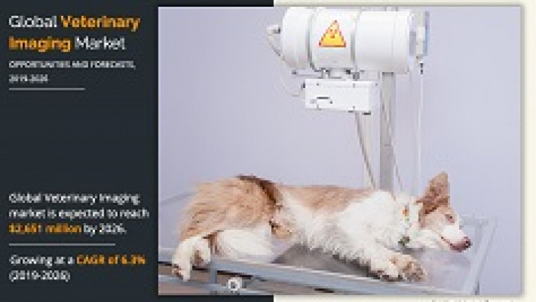 Veterinary Imaging Market Present Scenario