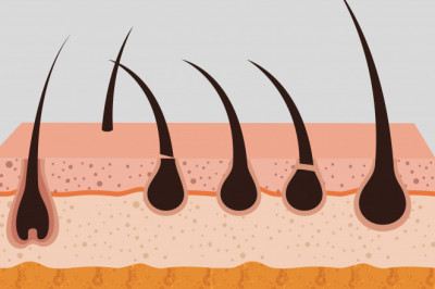 Hair Porosity
