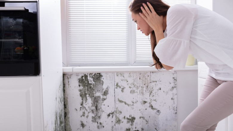 Effective Bathroom Wall Mold Removal