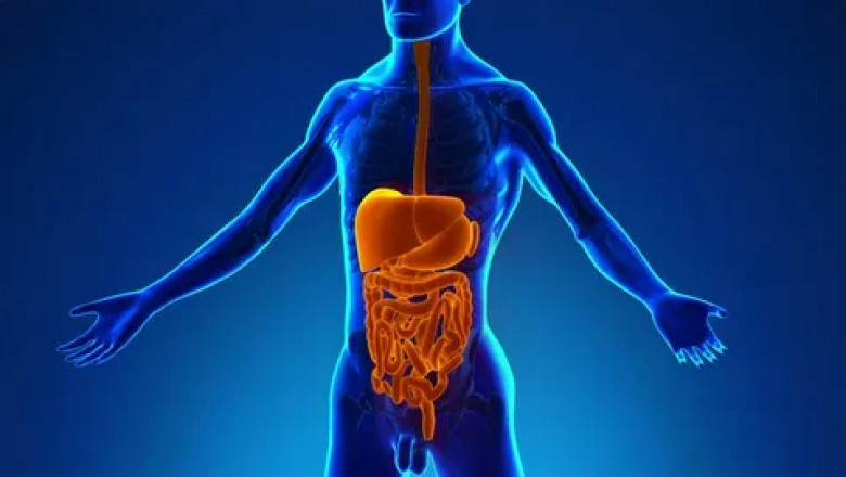Indigestion Symptom - Unani Medicine For Stomach Ulcers?
