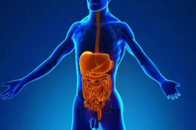 Indigestion Symptom  - Unani Medicine For Stomach Ulcers?
