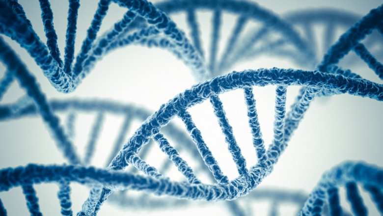 Long Red Sequencing Market Strategic Analysis and Future Scenarios