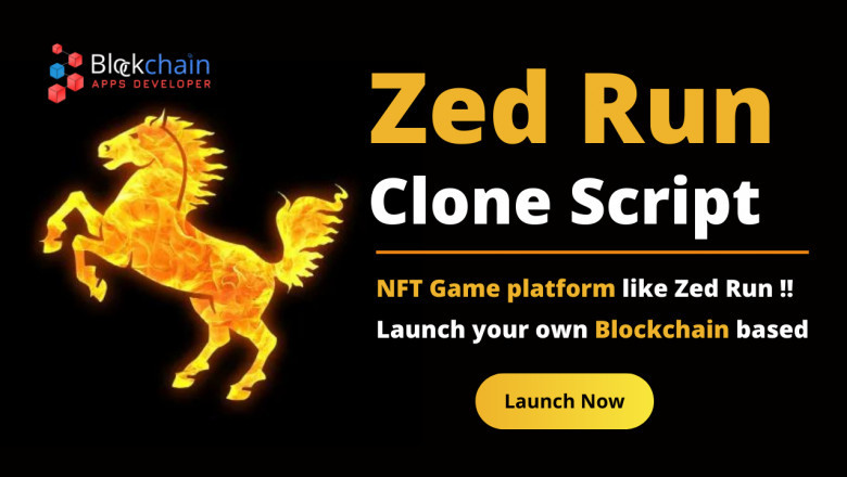 Zed Run NFT Clone Script