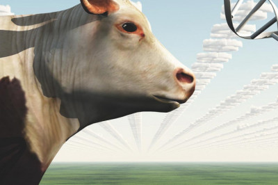 Animal Genetics Market Trends and Forecast to 2028