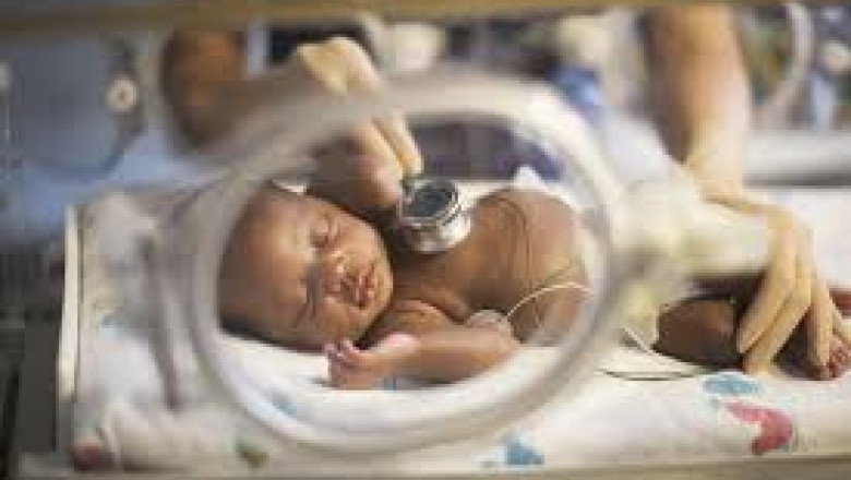 Fetal And Neonatal Care Equipment Market Size, Share, Regional Overview and Global Forecast to 2028