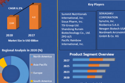 Global API (Chondroitin Sulphate, Hyaluronic Acid and Pancreatin) Market Development Trends, Supply, and Impressive Sales Forecast 2027