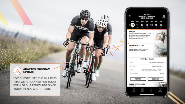 What Are The Most Important Components Of Triathlon Coaching?