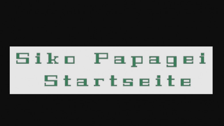 What You might want to Know About African Grey Parrots
