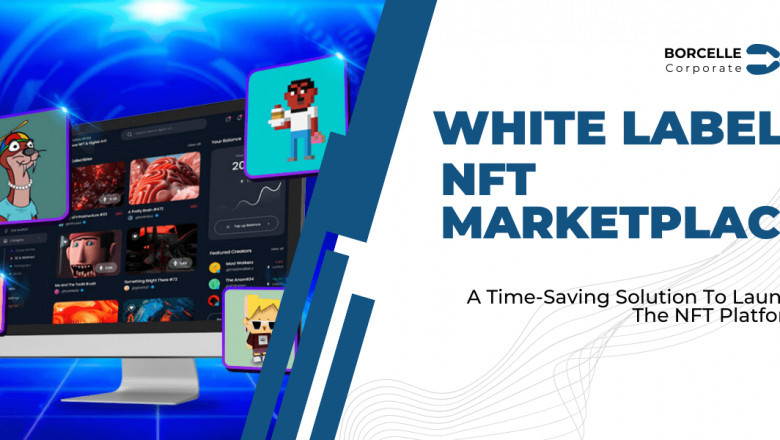 Cost-Effective Solution To Launch Your NFT Marketplace Platform