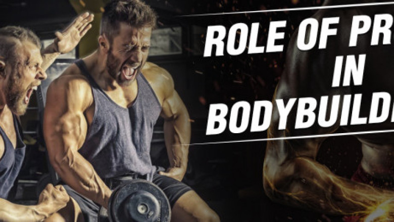 Does Protein Plays an Important Role in Bodybuilding