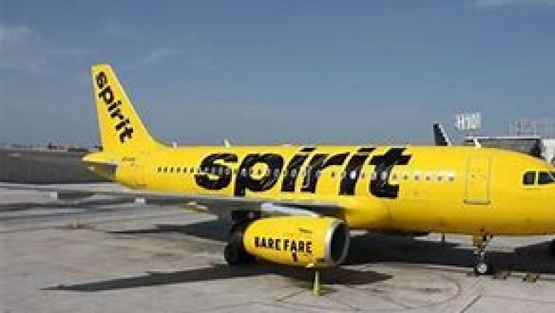 Spirit Airlines Pet Policy