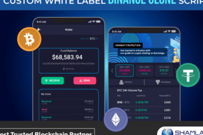 BINANCE DEX DEVELOPMENT WITH ULTIMATE BINANCE DEX CLONE SCRIPT