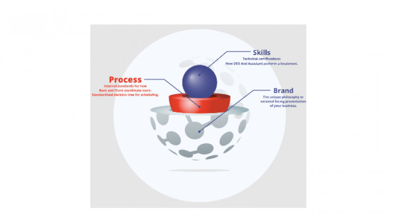 Everything You Should Know About Endodontic Rotary File Systems: NiTi