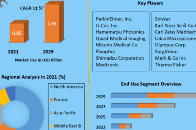 Global Near Infrared Imaging Market Forthcoming Trends & Global Future Forecasts 2029