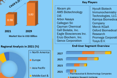 Global Oxidative Stress Assay Market Demand And Applications, Regional Analysis Forecast To 2029