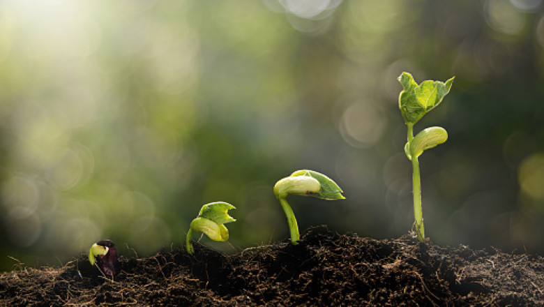 Latin America Soil Treatment Market