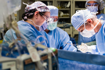 Most Religions Promote Tissue And Organ Transplantation As Charitable Acts That Help Individuals