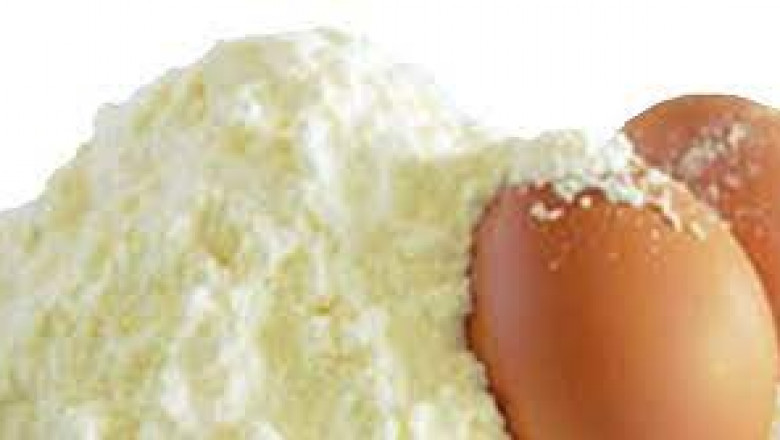 Ovalbumin Powder Market | Global Industry Trends, Segmentation, Business Opportunities & Forecast To 2028