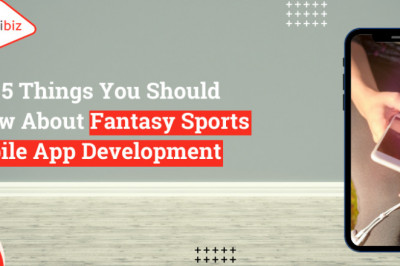 Top 5 Things You Should Know About Fantasy Sports Mobile App Development