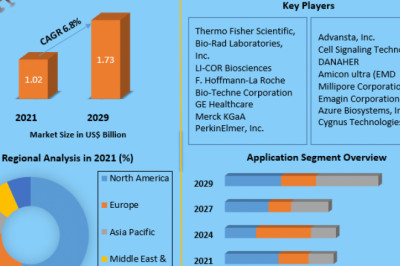 Western Blotting Market Opportunity Assessment, Demand And Forecast 2029