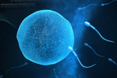 Advanced Male And Female Infertility – ILC Dr.Heena Agrawal