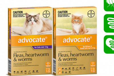 ADVOCATE Flea Worm Prevention for Cats 3 Pipettes