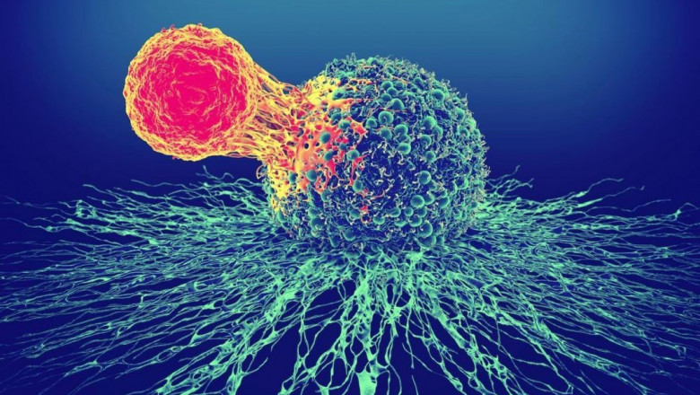 Autologous Cell Therapy Market 2022 Trends, Share & Forecast Report to 2028