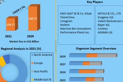 Global Agricultural Biotechnology Market Revenue Expectations, Share, Demand And Forecast 2029