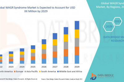 Global WAGR Syndrome Market Size, Scope, Insight, Demand & Global Industry analysis of 2029