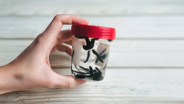 Hirudin Products Market Size, Share & Trends Analysis And Segment Forecasts, 2022 - 2030