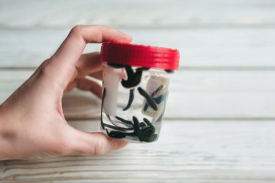 Hirudin Products Market Size, Share & Trends Analysis And Segment Forecasts, 2022 - 2030